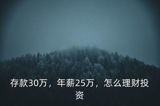 存款30萬，年薪25萬，怎么理財投資