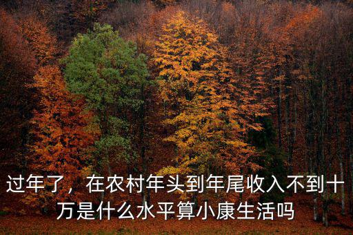 過年了，在農(nóng)村年頭到年尾收入不到十萬是什么水平算小康生活嗎