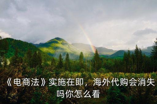 《電商法》實(shí)施在即，海外代購會消失嗎你怎么看