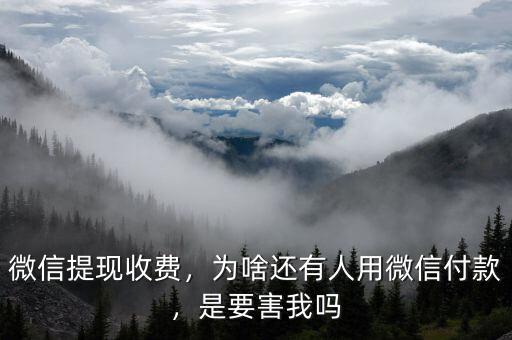微信提現(xiàn)收費，為啥還有人用微信付款，是要害我嗎