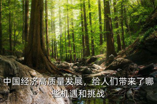 中國(guó)經(jīng)濟(jì)高質(zhì)量發(fā)展，給人們帶來了哪些機(jī)遇和挑戰(zhàn)