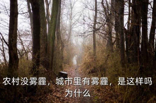 農(nóng)村沒霧霾，城市里有霧霾，是這樣嗎為什么