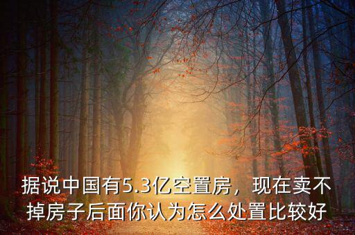據(jù)說(shuō)中國(guó)有5.3億空置房，現(xiàn)在賣不掉房子后面你認(rèn)為怎么處置比較好