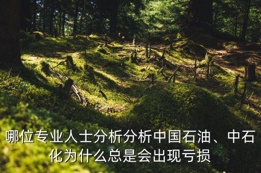 哪位專(zhuān)業(yè)人士分析分析中國(guó)石油、中石化為什么總是會(huì)出現(xiàn)虧損
