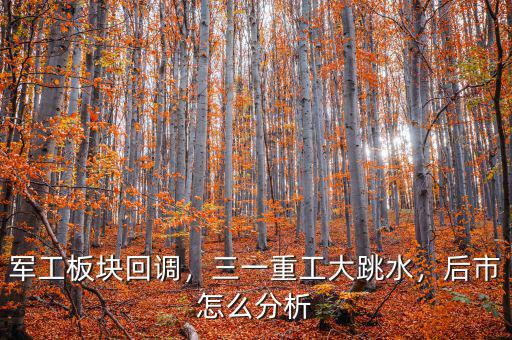 軍工板塊回調(diào)，三一重工大跳水，后市怎么分析