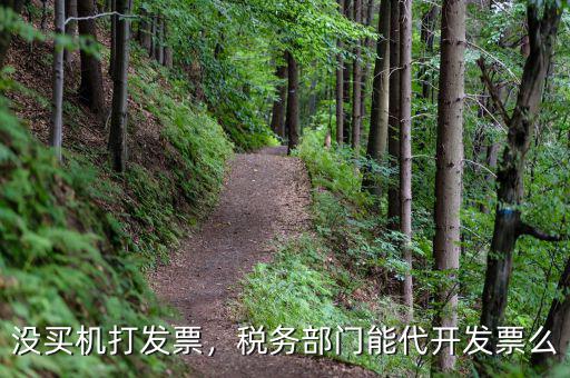 沒買機打發(fā)票，稅務部門能代開發(fā)票么