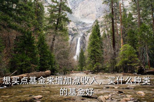 想買點(diǎn)基金來增加點(diǎn)收入，買什么種類的基金好