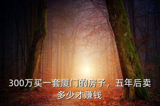 300萬買一套廈門的房子，五年后賣多少才賺錢