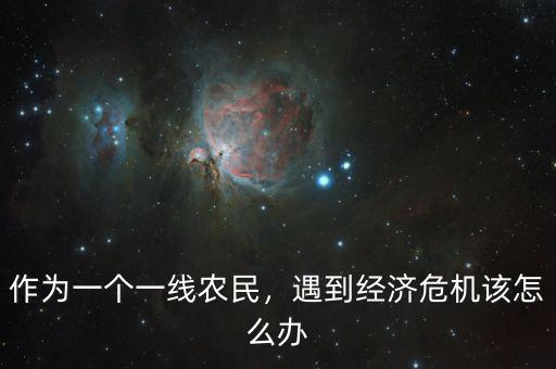作為一個(gè)一線(xiàn)農(nóng)民，遇到經(jīng)濟(jì)危機(jī)該怎么辦