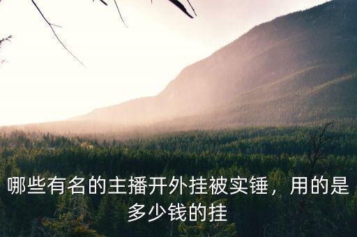 哪些有名的主播開外掛被實(shí)錘，用的是多少錢的掛