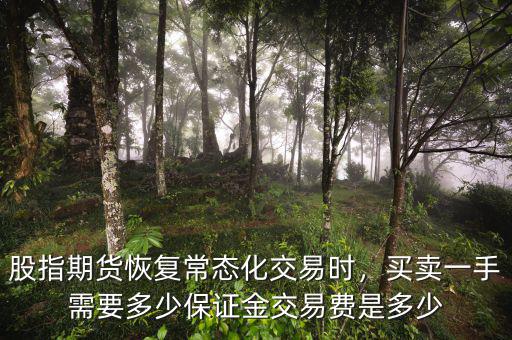 股指期貨恢復(fù)常態(tài)化交易時，買賣一手需要多少保證金交易費(fèi)是多少