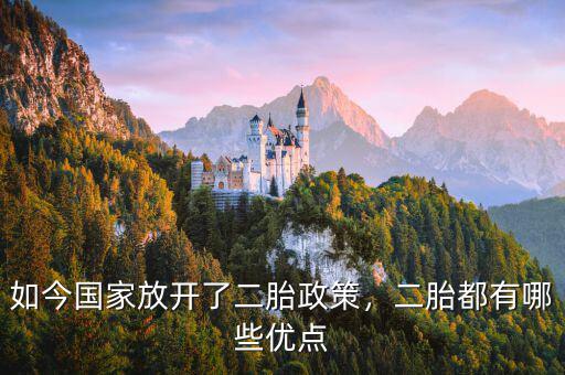如今國(guó)家放開(kāi)了二胎政策，二胎都有哪些優(yōu)點(diǎn)
