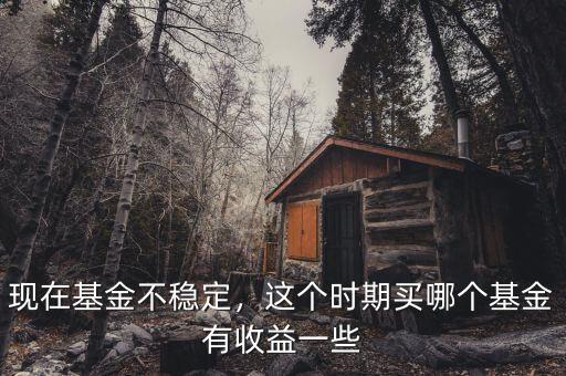 現(xiàn)在基金不穩(wěn)定，這個時期買哪個基金有收益一些
