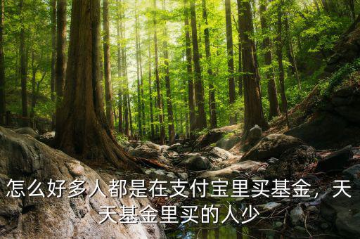怎么好多人都是在支付寶里買基金，天天基金里買的人少