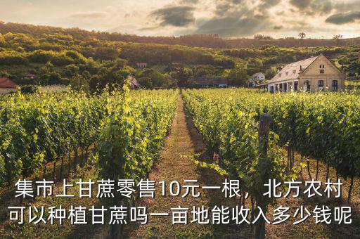 集市上甘蔗零售10元一根，北方農(nóng)村可以種植甘蔗嗎一畝地能收入多少錢(qián)呢