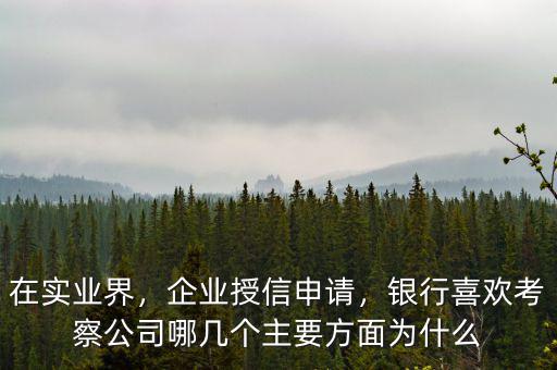 在實業(yè)界，企業(yè)授信申請，銀行喜歡考察公司哪幾個主要方面為什么