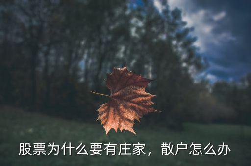 股票為什么要有莊家，散戶怎么辦