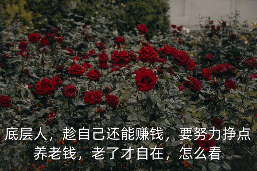 底層人，趁自己還能賺錢，要努力掙點養(yǎng)老錢，老了才自在，怎么看