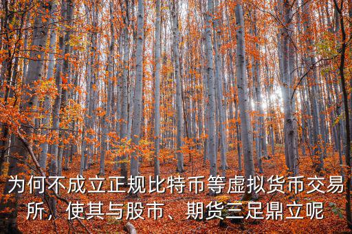 為何不成立正規(guī)比特幣等虛擬貨幣交易所，使其與股市、期貨三足鼎立呢