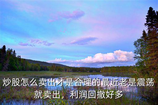 炒股怎么賣出才是合理的最近老是震蕩就賣出，利潤回撤好多