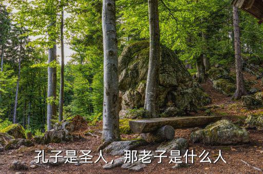 孔子是圣人，那老子是什么人