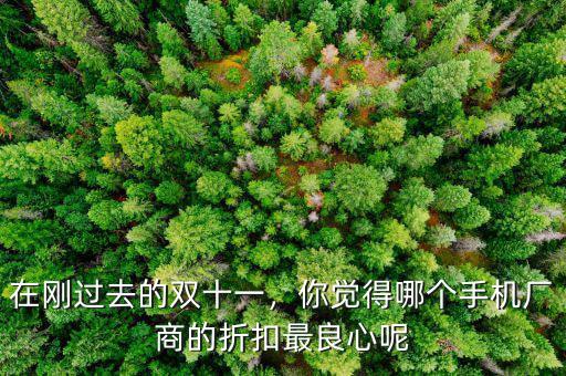 在剛過去的雙十一，你覺得哪個手機廠商的折扣最良心呢