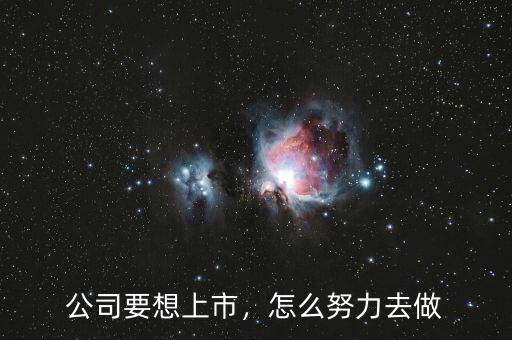 公司要想上市，怎么努力去做