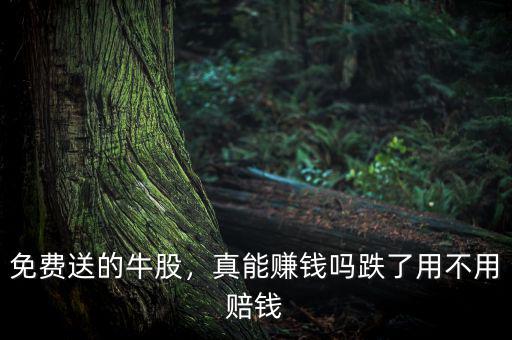 免費(fèi)送的牛股，真能賺錢嗎跌了用不用賠錢
