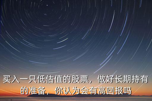 買入一只低估值的股票，做好長期持有的準(zhǔn)備，你認(rèn)為會有高回報嗎