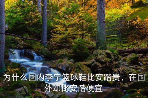 為什么國(guó)內(nèi)李寧籃球鞋比安踏貴，在國(guó)外卻比安踏便宜