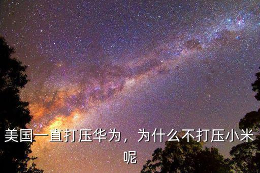 美國一直打壓華為，為什么不打壓小米呢