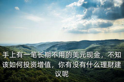 手上有一筆長期不用的美元現(xiàn)金，不知該如何投資增值，你有沒有什么理財建議呢