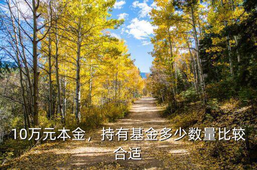 10萬元本金，持有基金多少數(shù)量比較合適