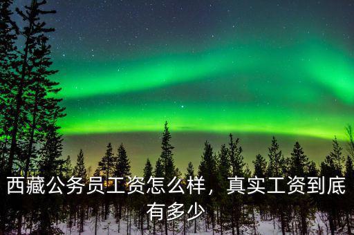 西藏公務(wù)員工資怎么樣，真實工資到底有多少