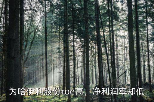 為啥伊利股份roe高，凈利潤(rùn)率卻低
