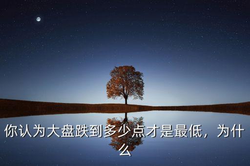 你認(rèn)為大盤跌到多少點才是最低，為什么