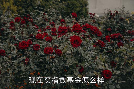 現(xiàn)在買指數基金怎么樣