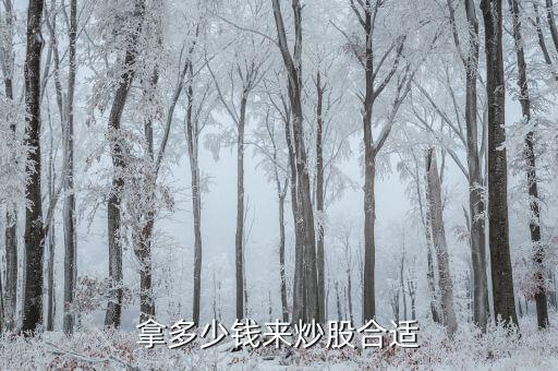 拿多少錢來(lái)炒股合適