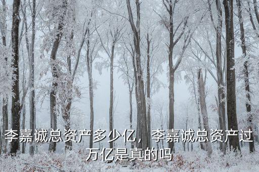 李嘉誠總資產(chǎn)多少億，李嘉誠總資產(chǎn)過萬億是真的嗎