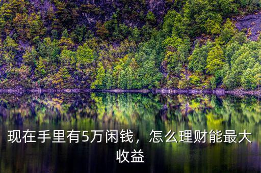 現(xiàn)在手里有5萬閑錢，怎么理財能最大收益