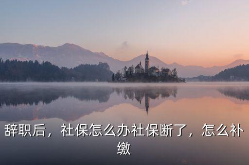 辭職后，社保怎么辦社保斷了，怎么補(bǔ)繳