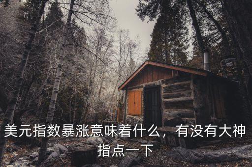 美元指數(shù)暴漲意味著什么，有沒(méi)有大神指點(diǎn)一下