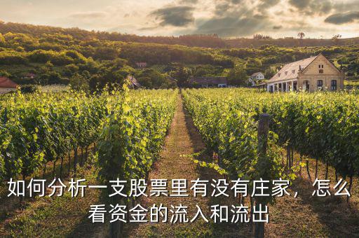 如何分析一支股票里有沒有莊家，怎么看資金的流入和流出