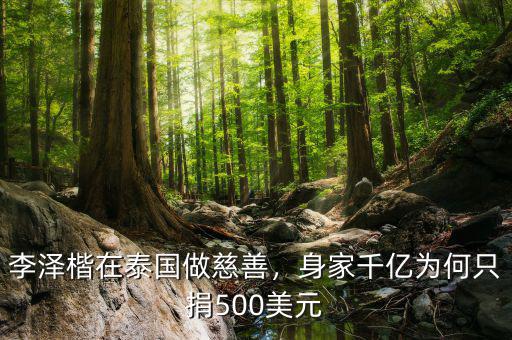 李澤楷在泰國做慈善，身家千億為何只捐500美元