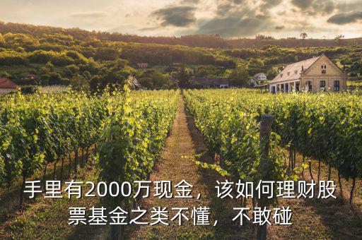 手里有2000萬現(xiàn)金，該如何理財股票基金之類不懂，不敢碰