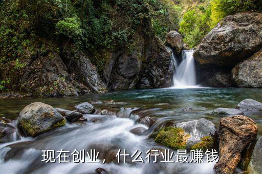 現(xiàn)在創(chuàng)業(yè)，什么行業(yè)最賺錢