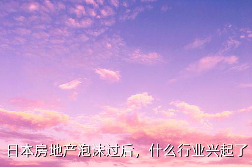日本房地產(chǎn)泡沫過后，什么行業(yè)興起了