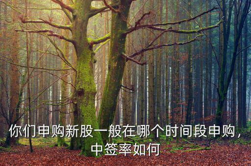 你們申購(gòu)新股一般在哪個(gè)時(shí)間段申購(gòu)，中簽率如何