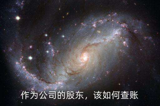 作為公司的股東，該如何查賬