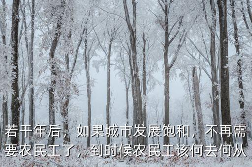 若干年后，如果城市發(fā)展飽和，不再需要農(nóng)民工了，到時候農(nóng)民工該何去何從